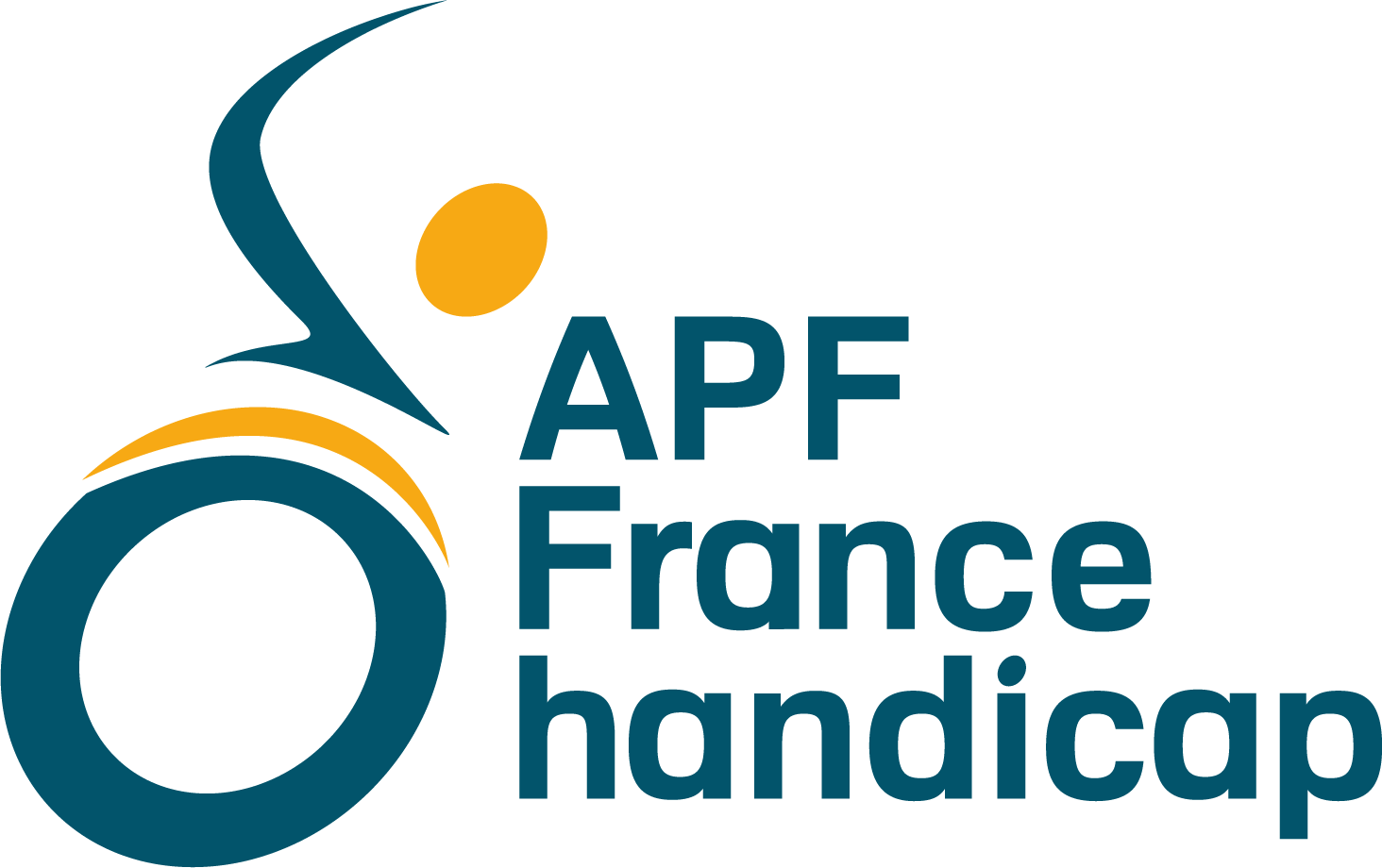 APF France handicap (53)